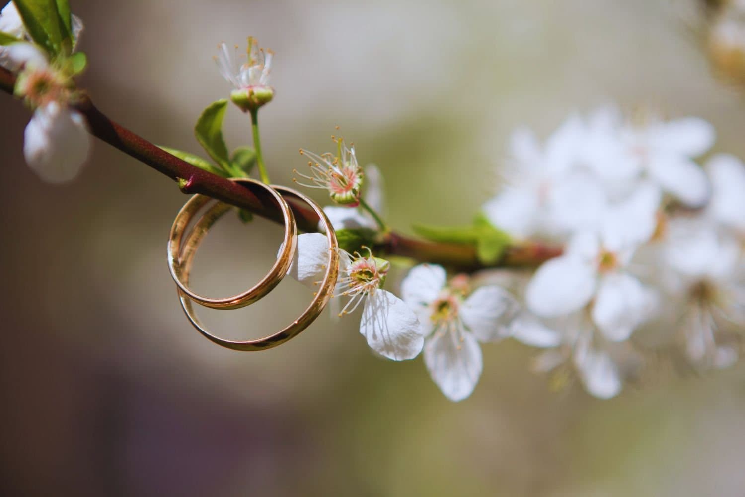 Tipos de Bodas: Guía para elegir tu estilo ideal