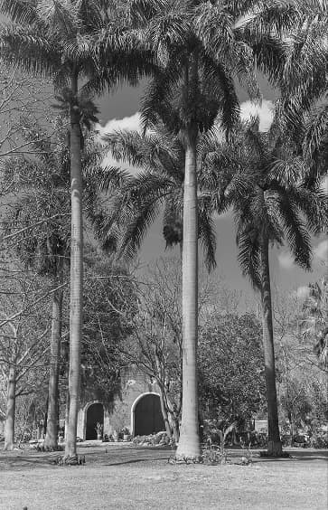 Paisaje exterior con fitro blanco y negro
