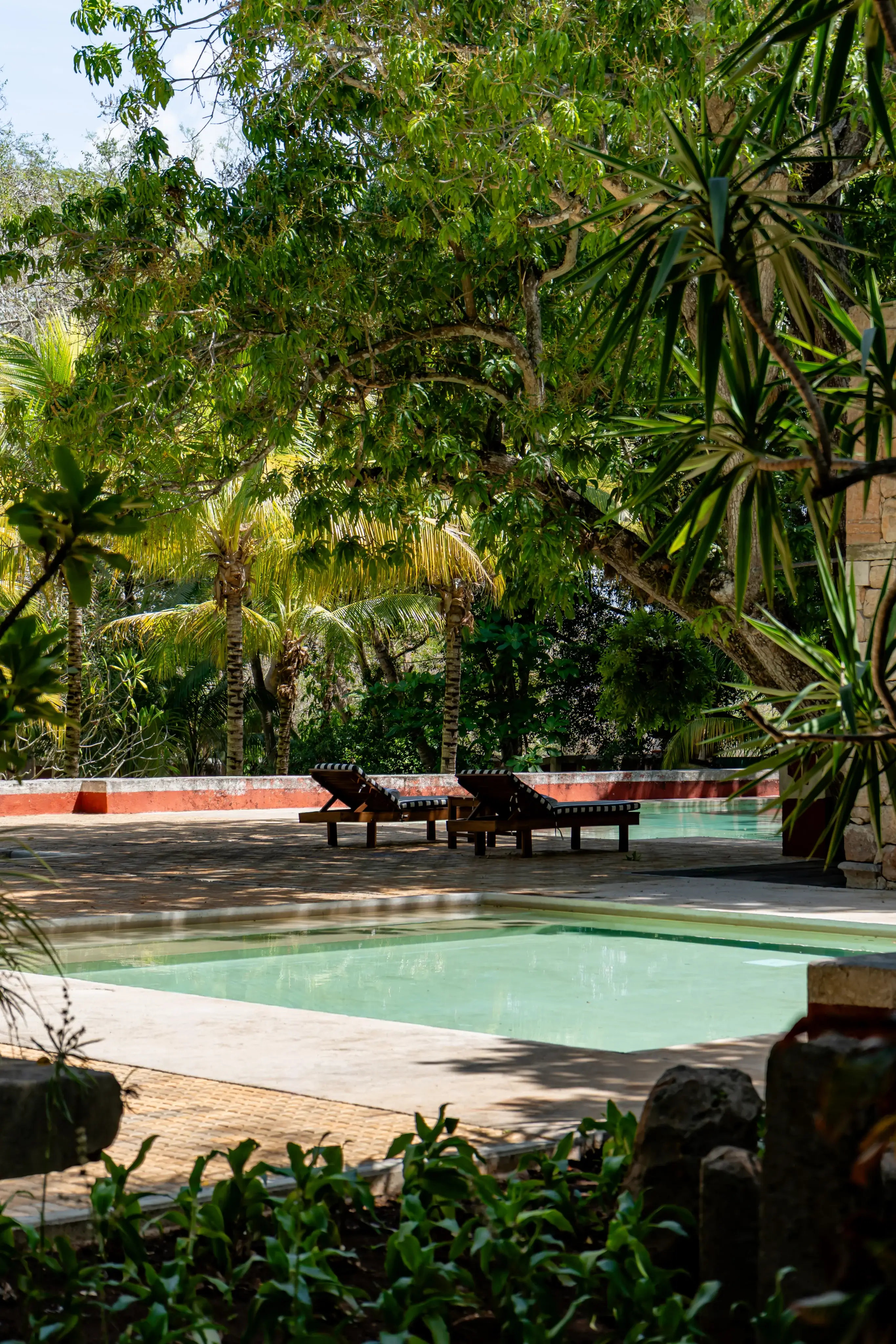 Galería de Hacienda Chuntuac 38