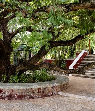 Haciendas en Mérida Yucatán con arquitectura histórica