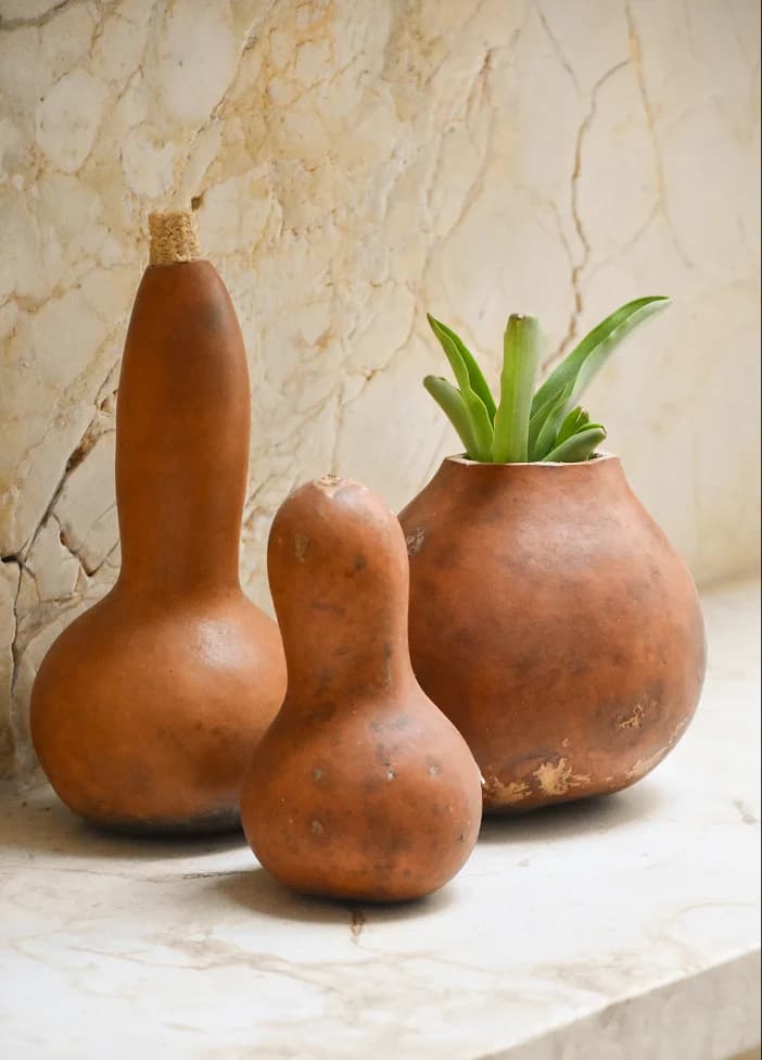 Hacienda Chuntuac