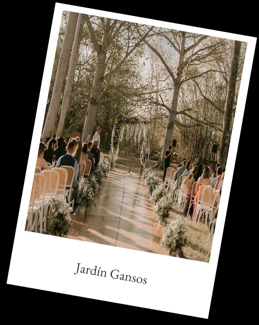 Jardín Gansos