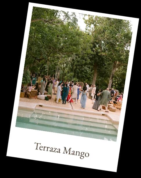 Terraza Mango